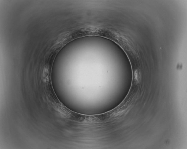 X0000097491203200802221407