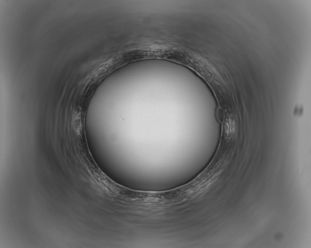 X0000097491204200802221407