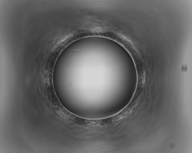 X0000097491205200802221407