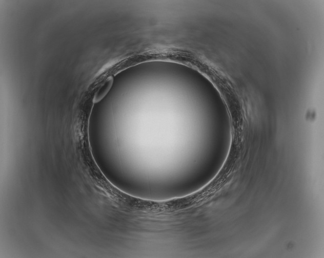 X0000097491206200802221407