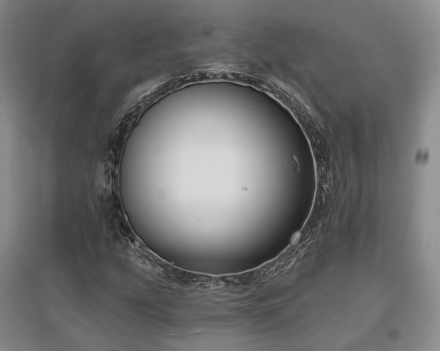 X0000097491207200802221407
