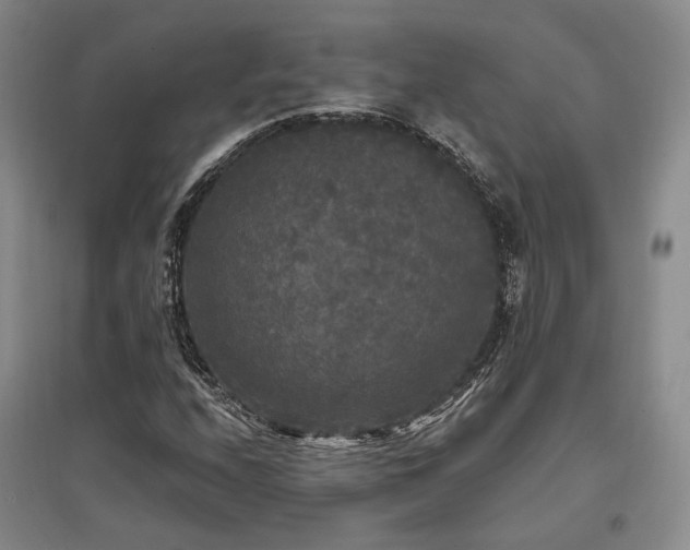 X0000097491208200802221407