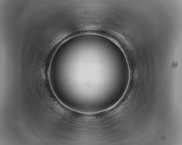 X0000097491209200802221407