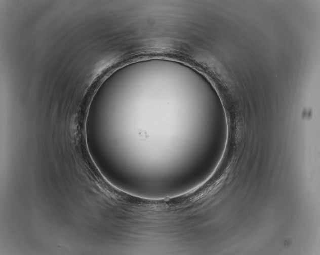 X0000097491210200802221407
