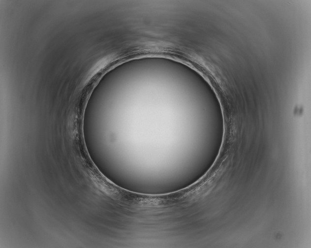 X0000097491211200802221407