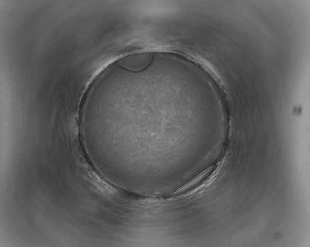 X0000097491212200802221408