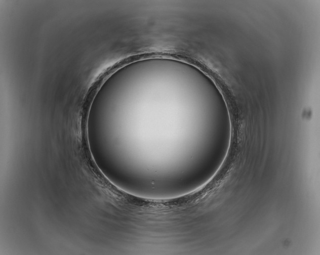 X0000097491214200802221408