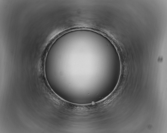 X0000097491215200802221408