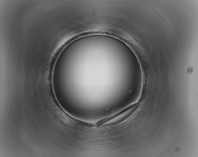 X0000097491216200802221408