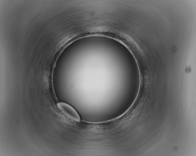 X0000097491217200802221408