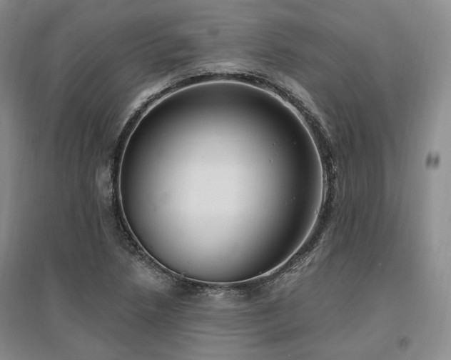 X0000097491218200802221408