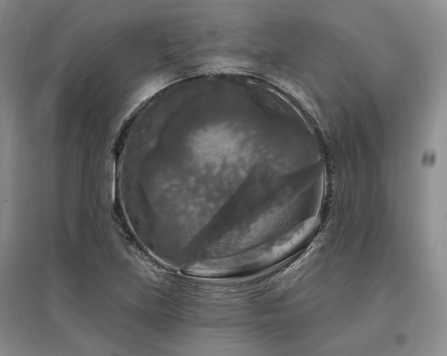 X0000097491219200802221408