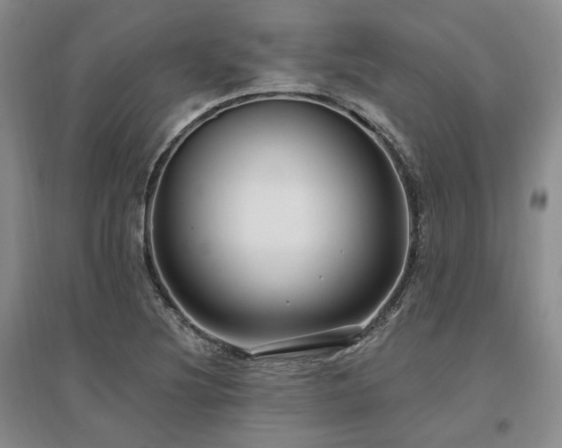 X0000097491220200802221408