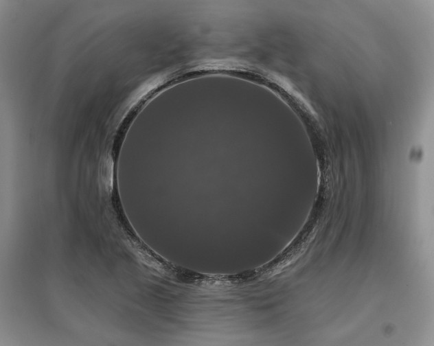 X0000097491221200802221408