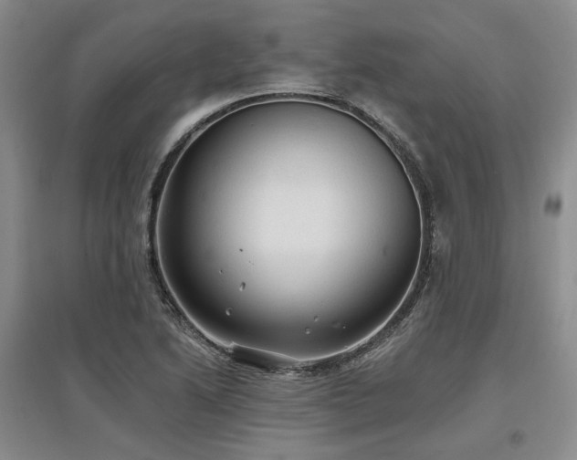 X0000097491222200802221408
