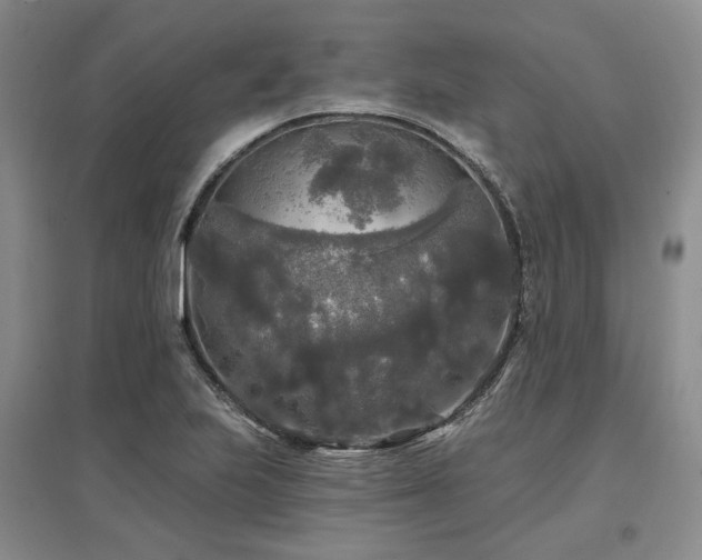 X0000097491223200802221408