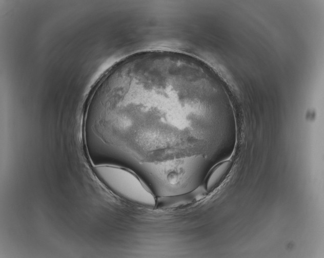 X0000097491224200802221408