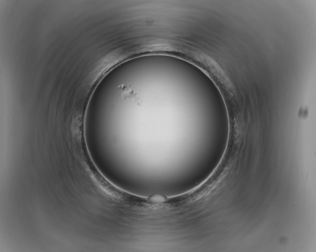 X0000097491225200802221408