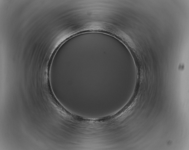 X0000097491226200802221408
