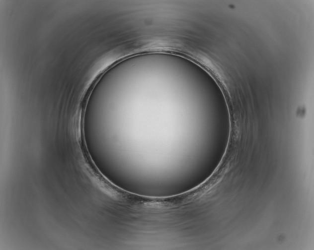 X0000097491227200802221408