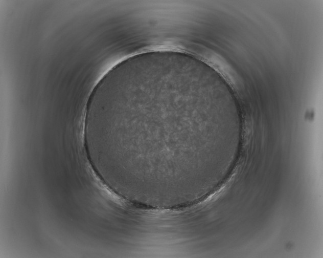 X0000097491228200802221408