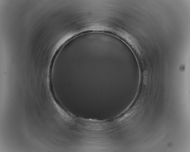 X0000097491229200802221408