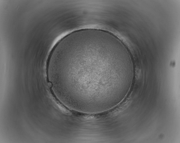 X0000097491230200802221408