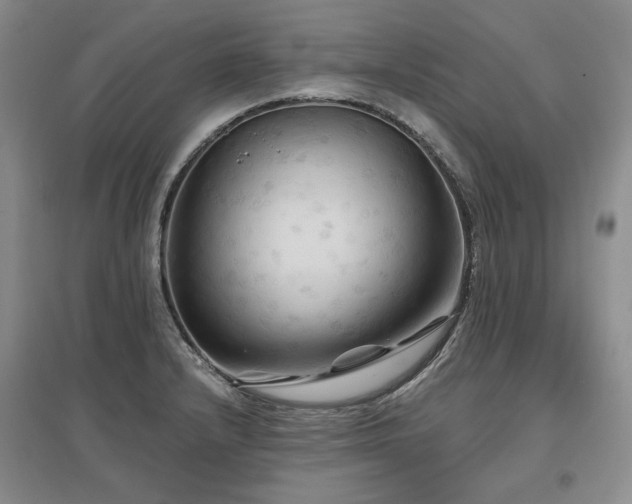 X0000097491232200802221408