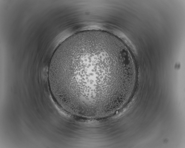 X0000097491233200802221408