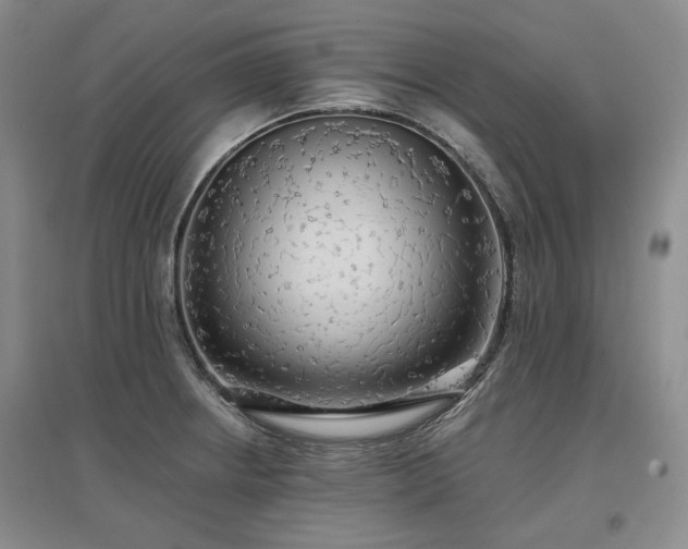 X0000097491234200802221408