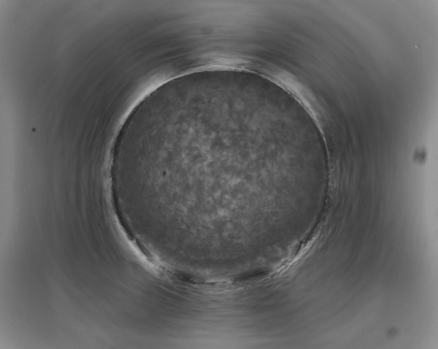 X0000097491235200802221408