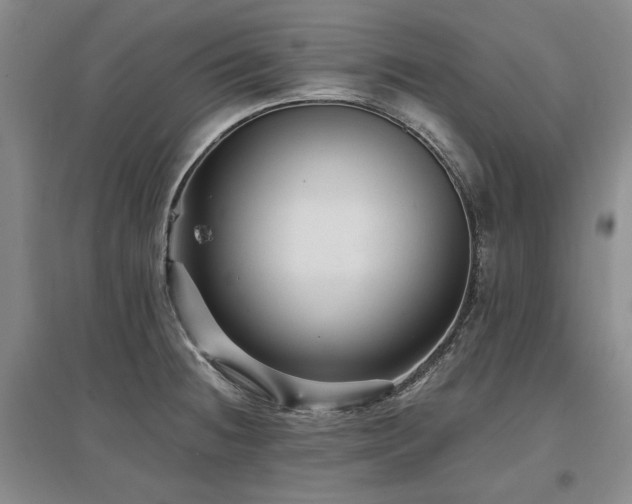 X0000097491236200802221408