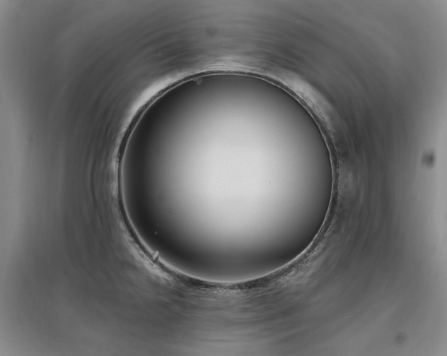 X0000097491238200802221408