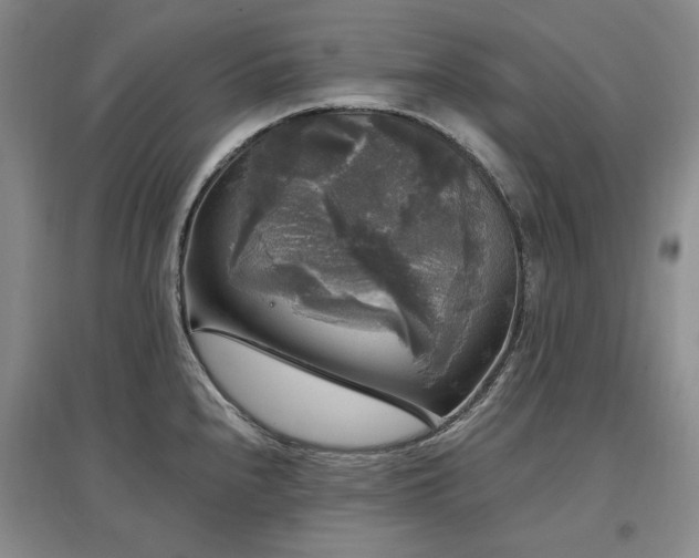 X0000097491240200802221408