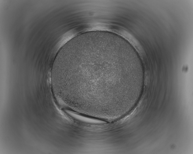 X0000097491241200802221408