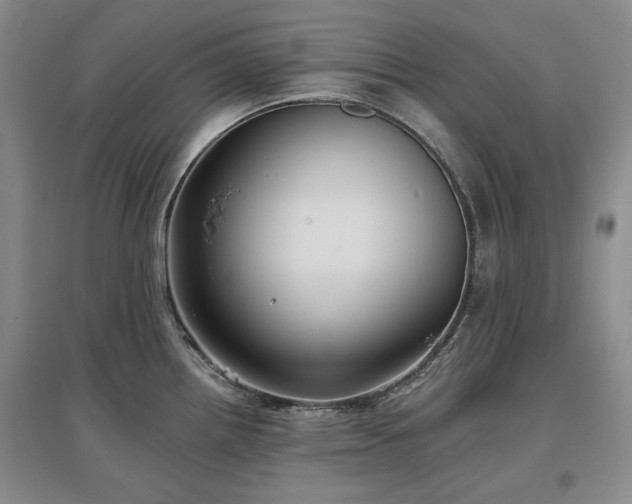 X0000097491242200802221408