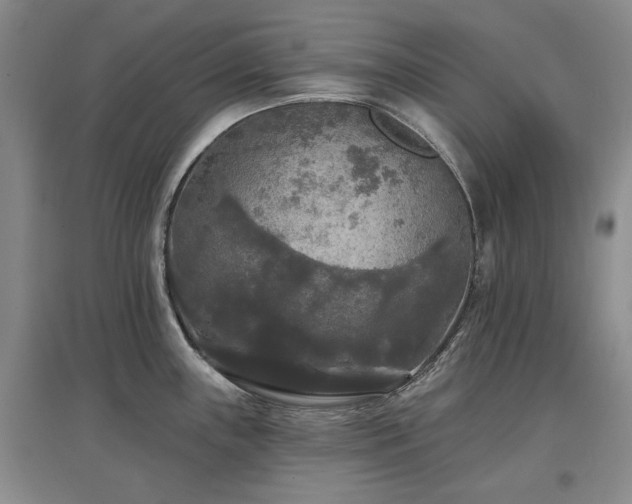 X0000097491243200802221408