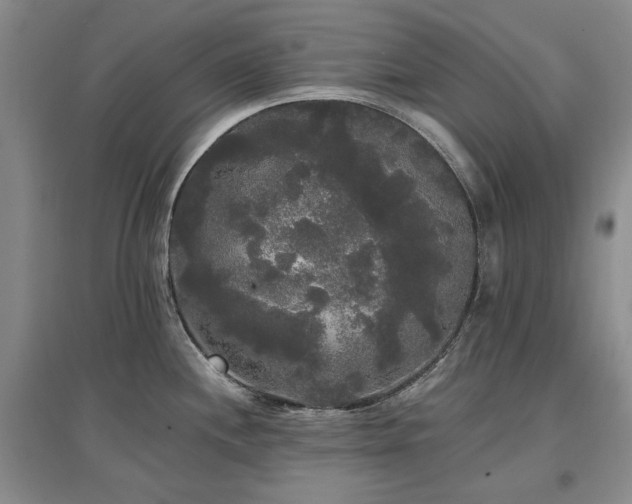 X0000097491244200802221408