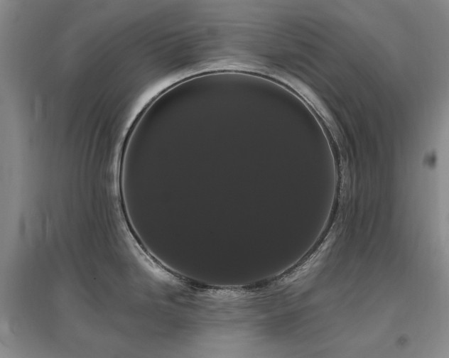 X0000097491246200802221408