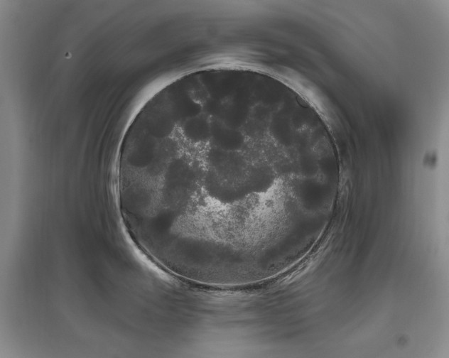 X0000097491247200802221408