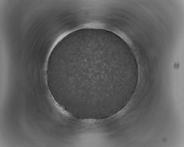 X0000097491248200802221408