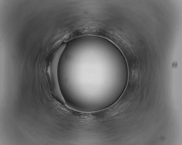 X0000097491250200802221407