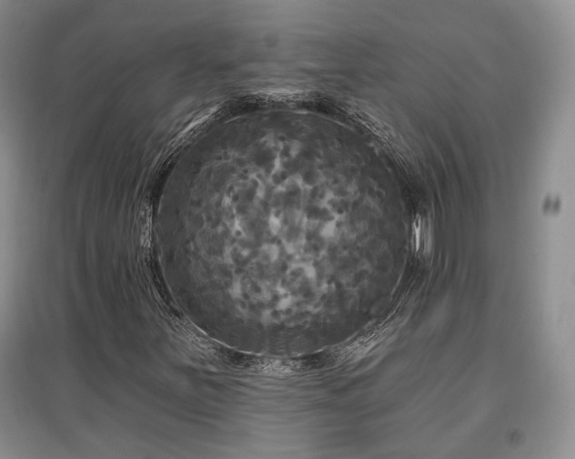 X0000097491251200802221407