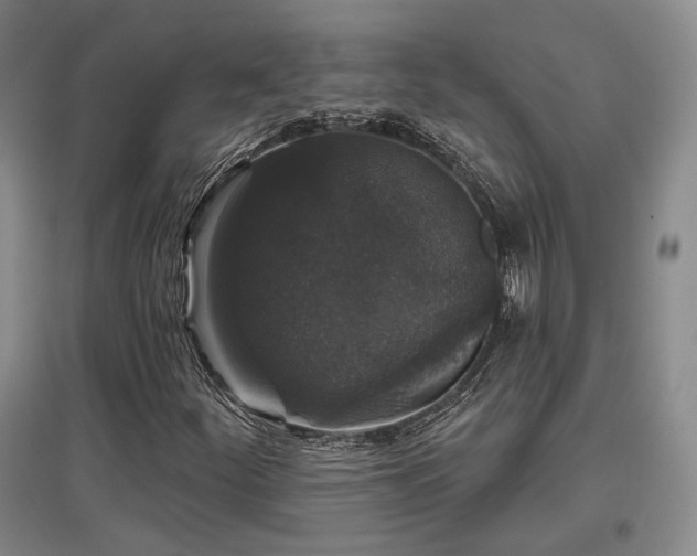 X0000097491252200802221407
