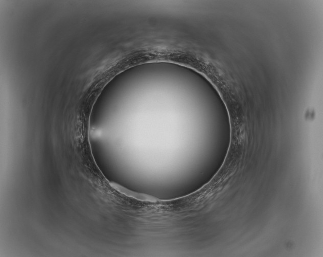 X0000097491253200802221407