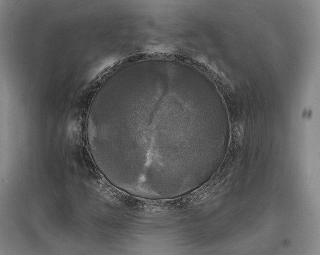 X0000097491254200802221407