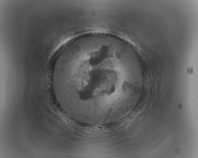 X0000097491255200802221407