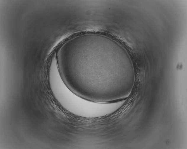 X0000097491256200802221407