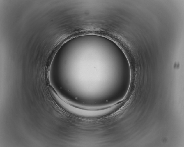 X0000097491257200802221407