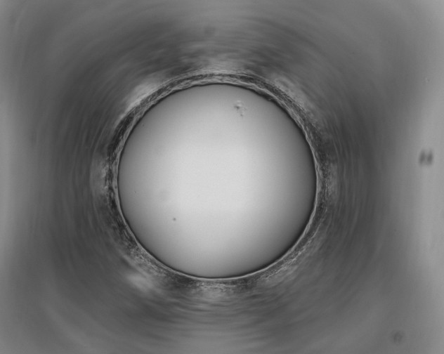 X0000097491258200802221407